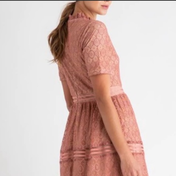 ROOLEE Romantic Beautiful Rose Pink Lace Lined MIDI Length Dress XXXL 3X New Tag - Picture 10 of 12